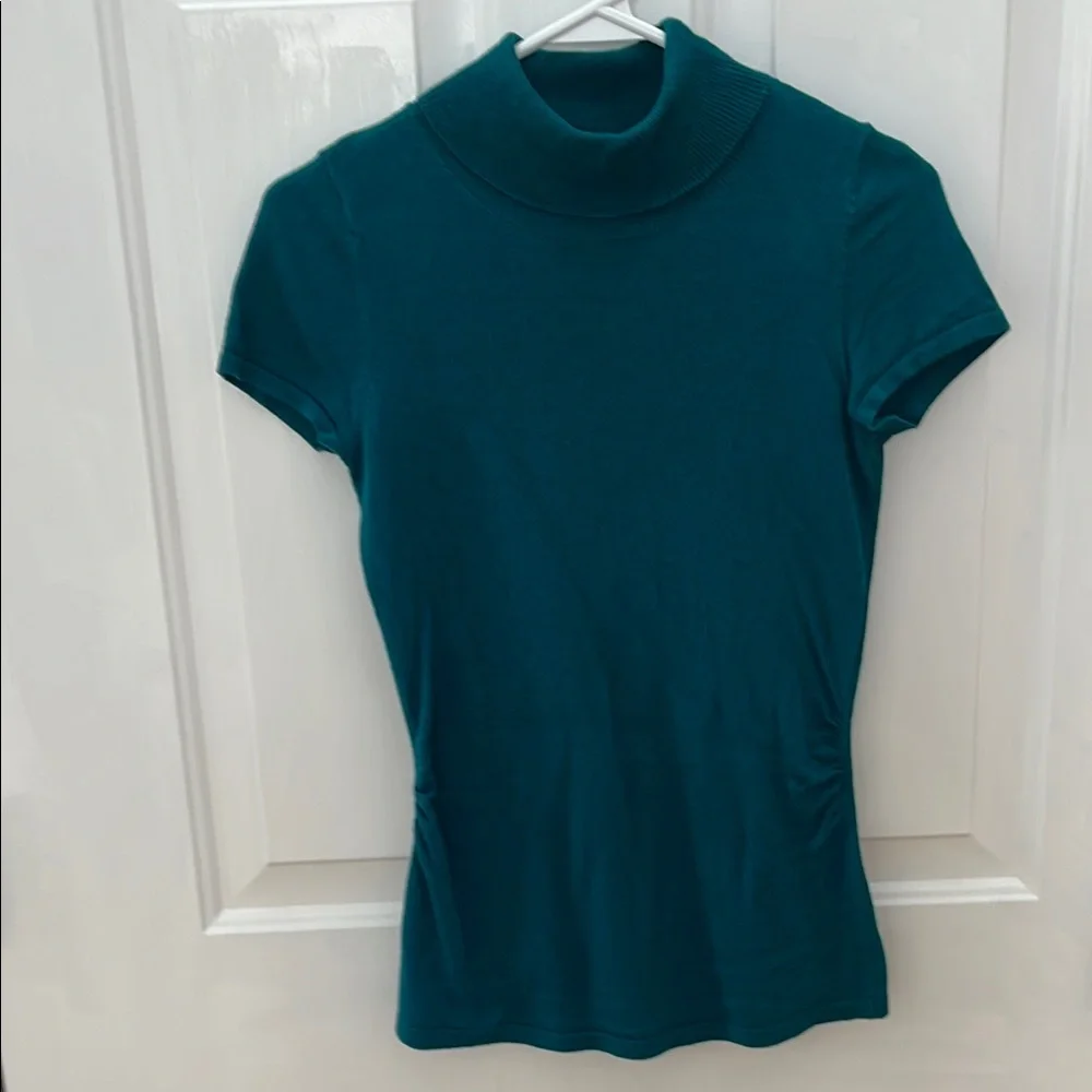 Teal Anne Taylor Petite Short Sleeve Women's Turtleneck Sweater - Picture 1 of 3